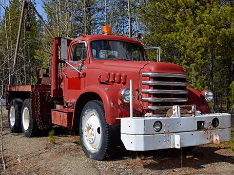 Old truck in the bush that is hard to sell.