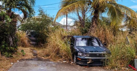 A Broken-down Black Car Surrounded By Tall Weeds.